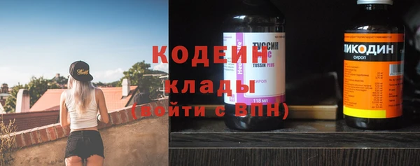 дмт Карпинск