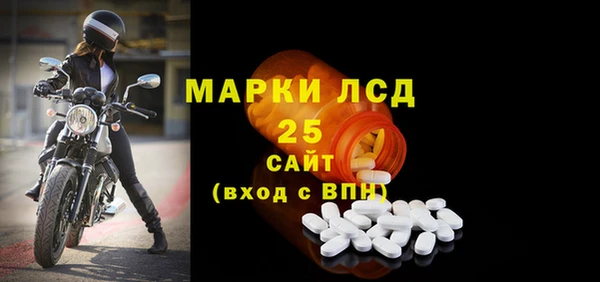 PSILOCYBIN Беломорск