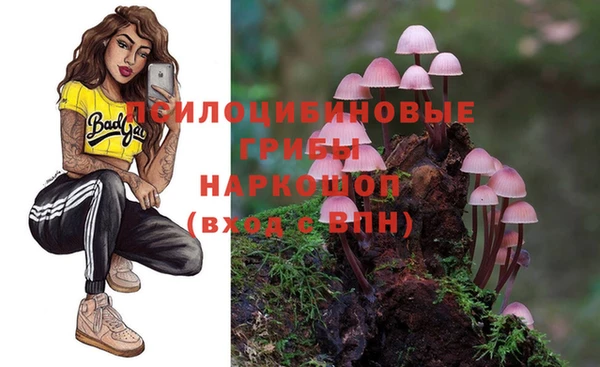 прущая мука Богородицк