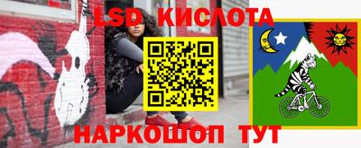 гашик Рузаевка