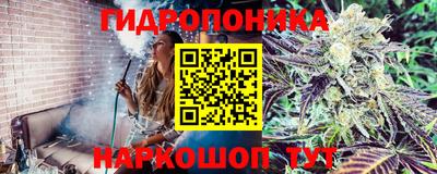 гашик Рузаевка
