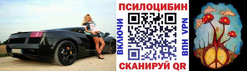 мега ссылка  Славгород  Галлюциногенные грибы GOLDEN TEACHER 