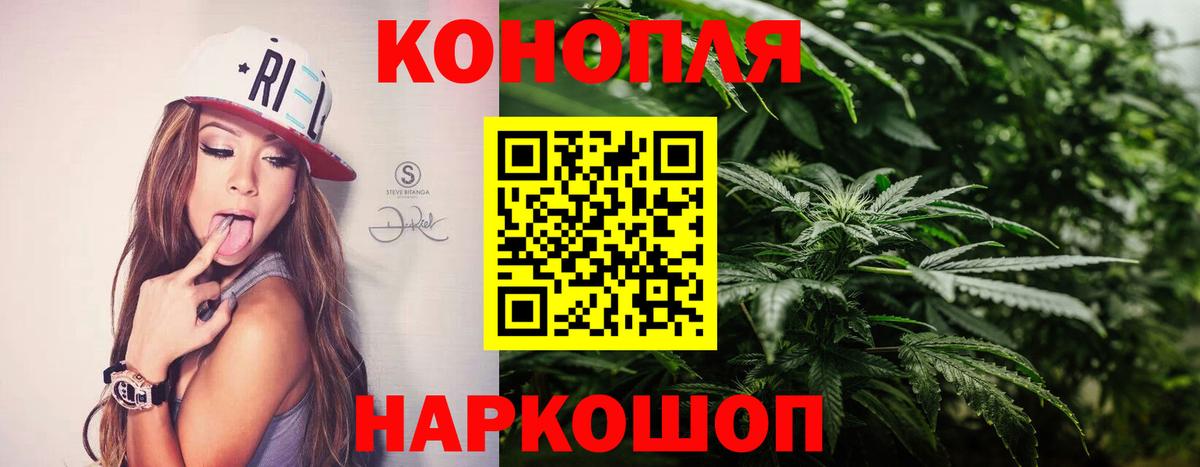 Конопля Amnesia  Вход с VPN  Славгород  Каннабис Amnesia  Шишки марихуана White Widow 